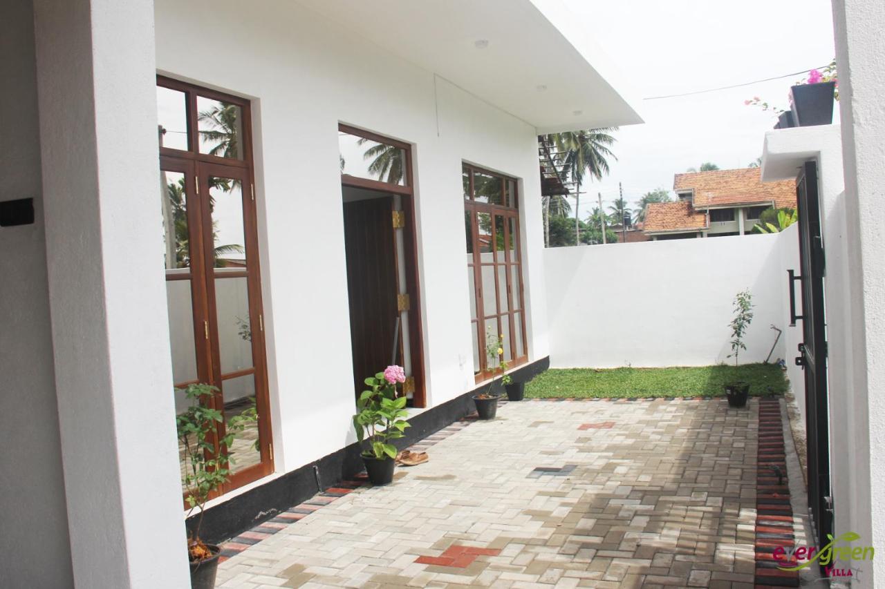 Ever Green Villa Negombo Exteriör bild