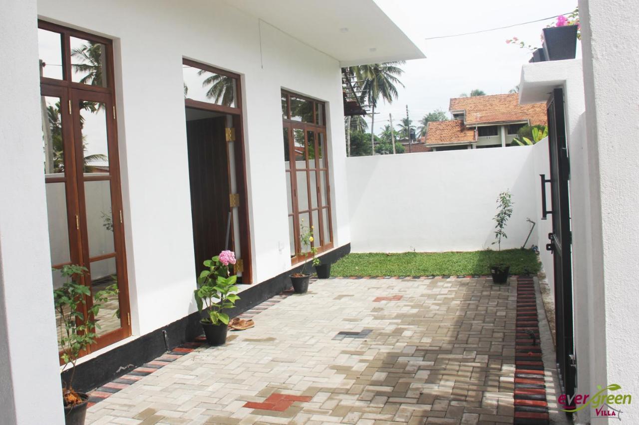 Ever Green Villa Negombo Exteriör bild